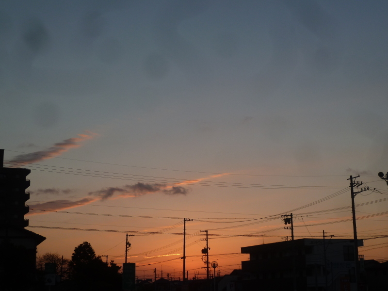 b0095981_06095678.jpg