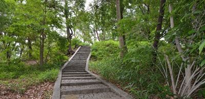 c0229483_1332258.jpg