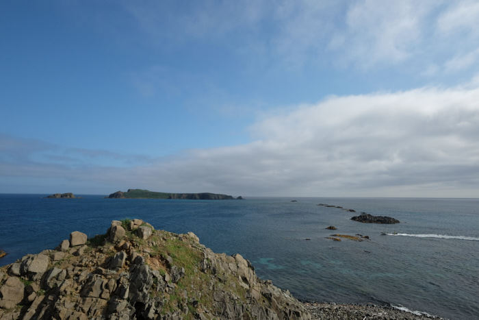b0339488_20491249.jpg