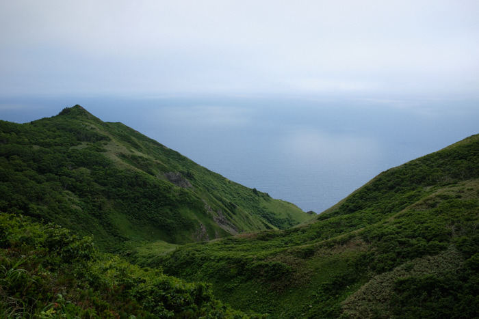 b0339488_20502696.jpg