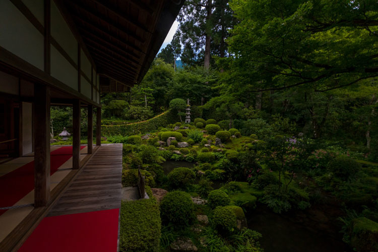 三千院_e0051888_05225514.jpg
