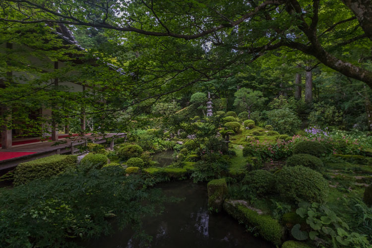 三千院_e0051888_05230097.jpg