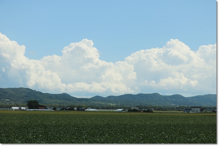 f0146493_23311168.jpg