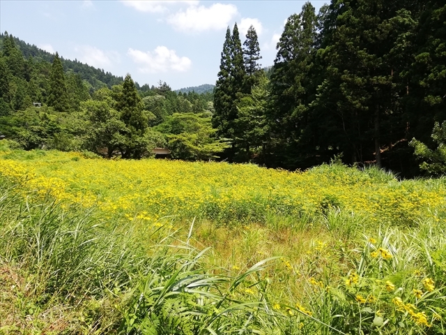 Aug. 04, 2019　 佐々里峠へ避暑ツー_a0266294_19302615.jpg