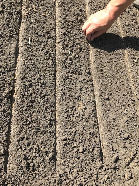 f0204295_14052864.jpg