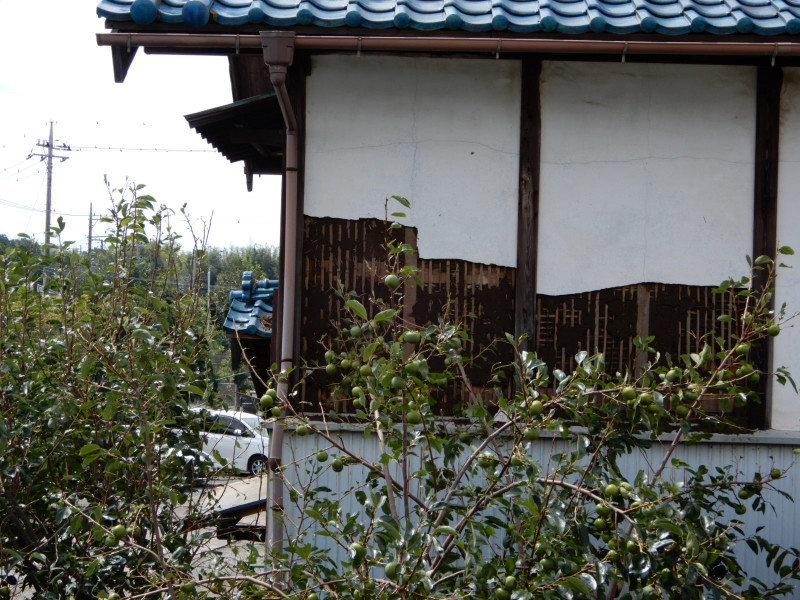 猛烈台風の直撃_e0025300_1656151.jpg