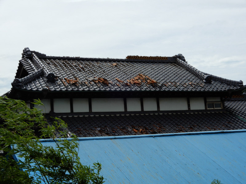 猛烈台風の直撃_e0025300_170433.jpg