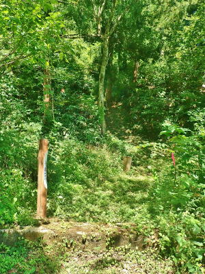 c0336902_18175579.jpg