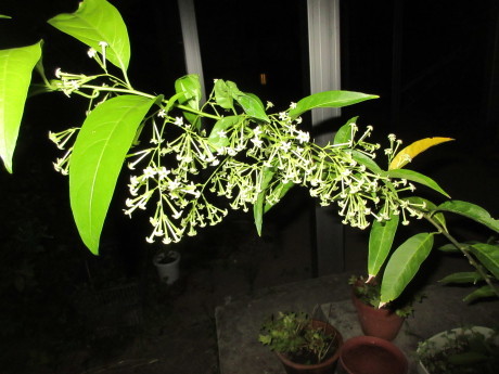 a0203003_21004251.jpg
