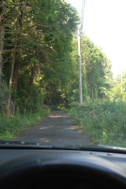 d0359503_21195027.jpg