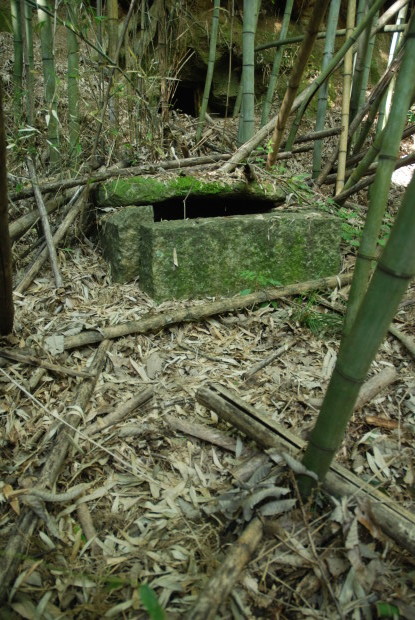 d0359503_21202299.jpg