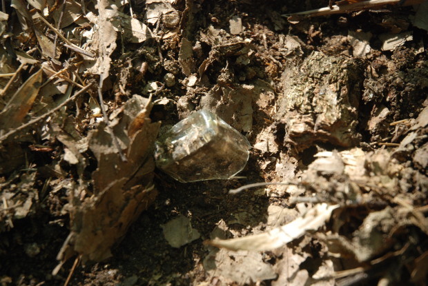 d0359503_21204510.jpg