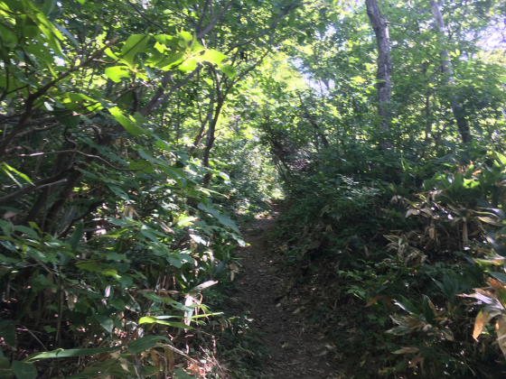 e0132713_17520226.jpg