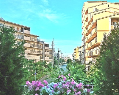 e0359418_07413058.jpg