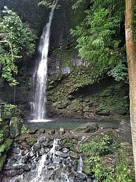 f0354923_22313922.jpg