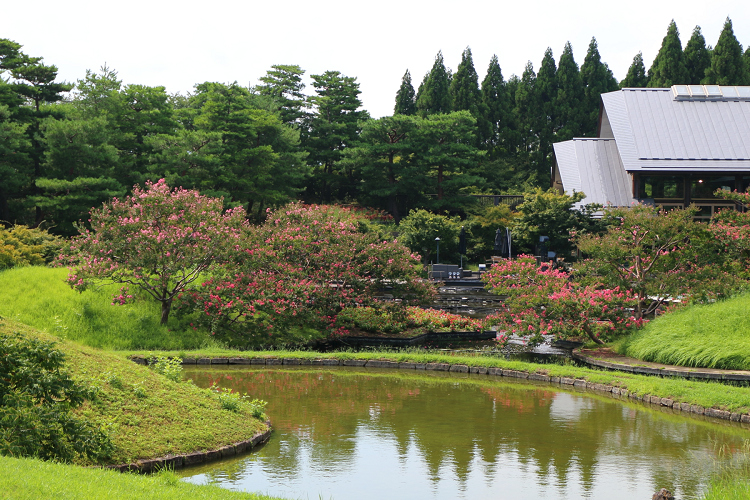 京の夏の旅2019 －かき氷巡り（鹿の子）－_b0169330_16434318.jpg