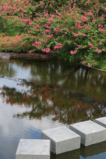 京の夏の旅2019 －かき氷巡り（鹿の子）－_b0169330_1643941.jpg