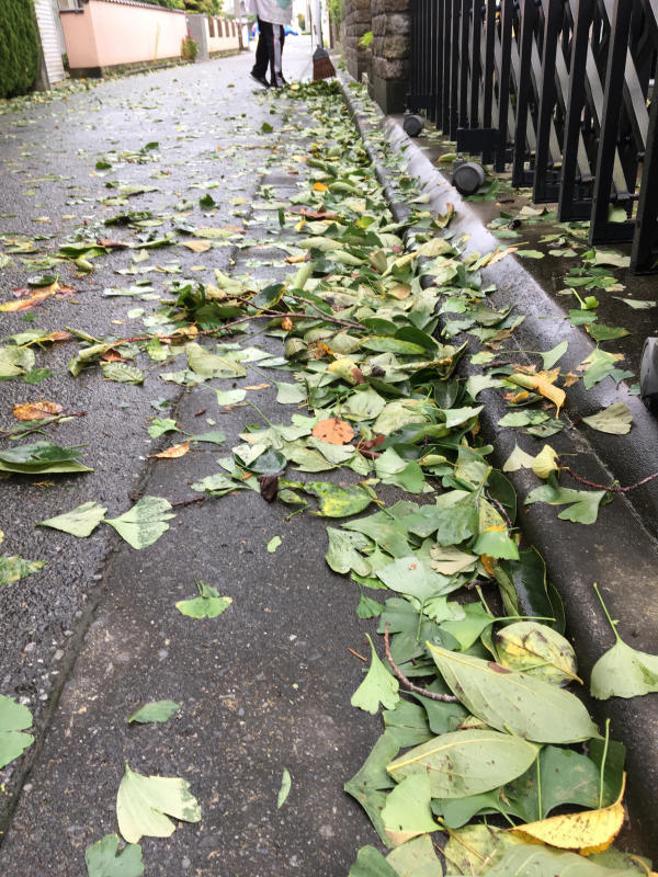 台風の影響は。_e0412431_08564776.jpg