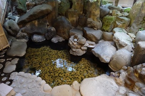 b0042334_8444456.jpg