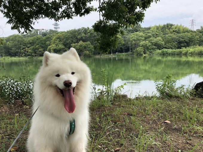2019年8月後半 インスタ写真集 その2_f0128542_00253392.jpg
