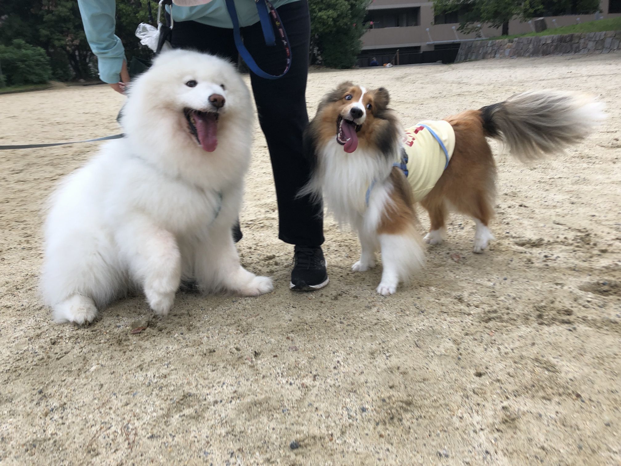 2019年8月後半 インスタ写真集 その2_f0128542_00353983.jpg