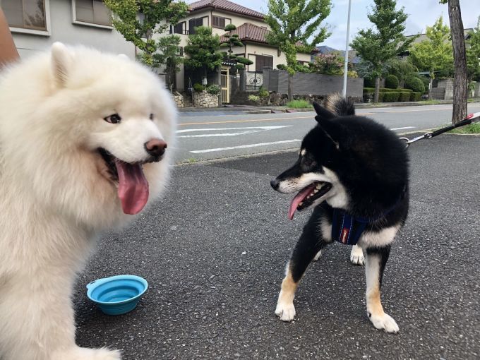 2019年8月後半 インスタ写真集 その2_f0128542_00363465.jpg
