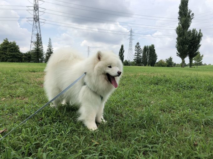2019年8月後半 インスタ写真集 その2_f0128542_00394406.jpg