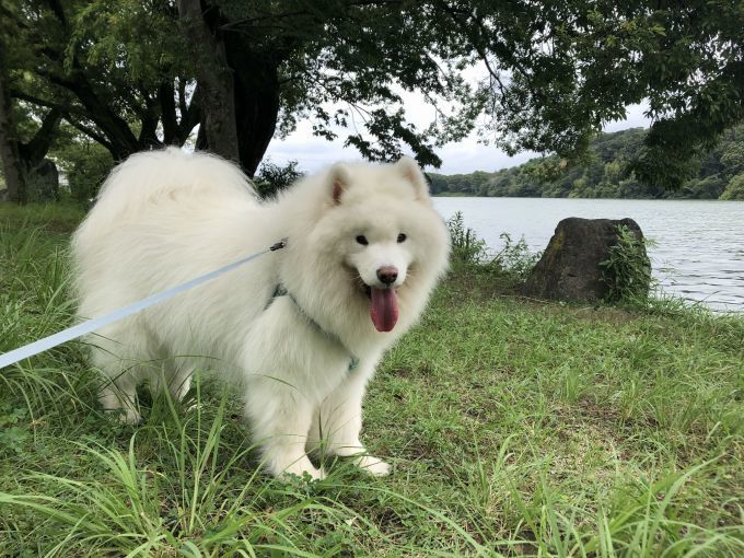 2019年8月後半 インスタ写真集 その2_f0128542_00585543.jpg