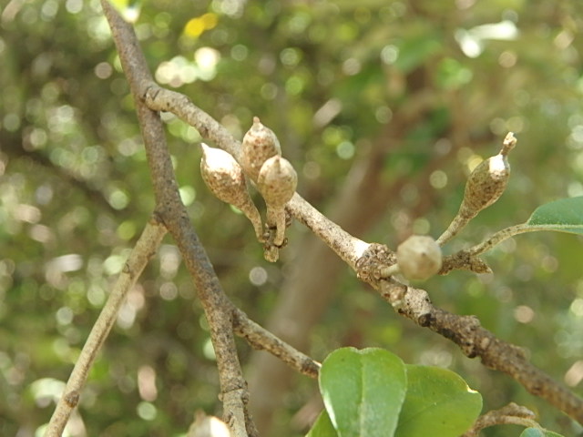 f0334143_750329.jpg