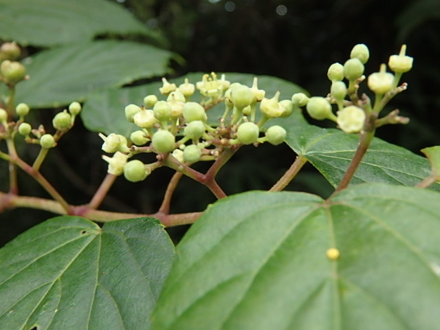 f0334143_754275.jpg