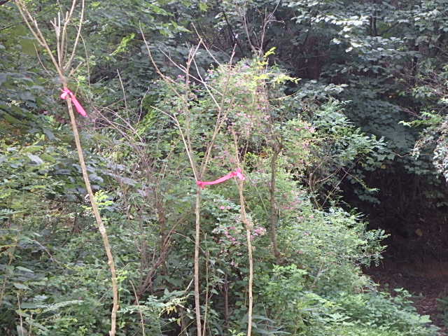 f0334143_7564079.jpg
