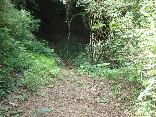 f0334143_7565131.jpg