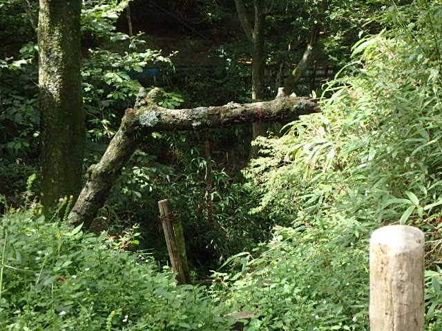 f0334143_7575940.jpg