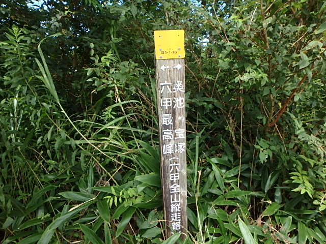 f0334143_80138.jpg