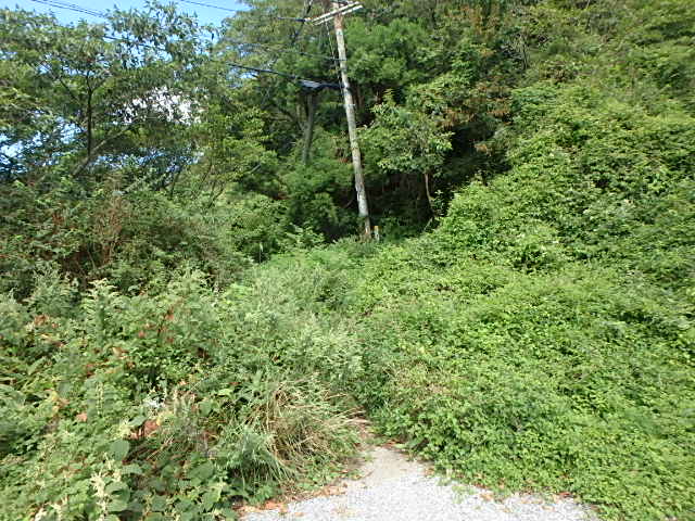 f0334143_802376.jpg