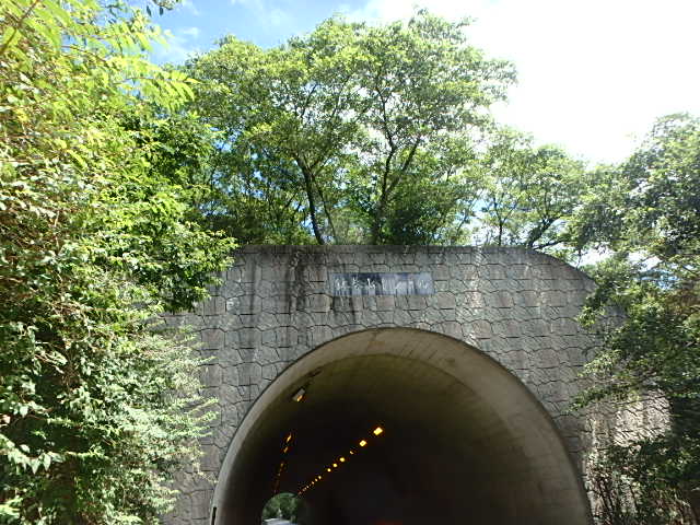 f0334143_803421.jpg