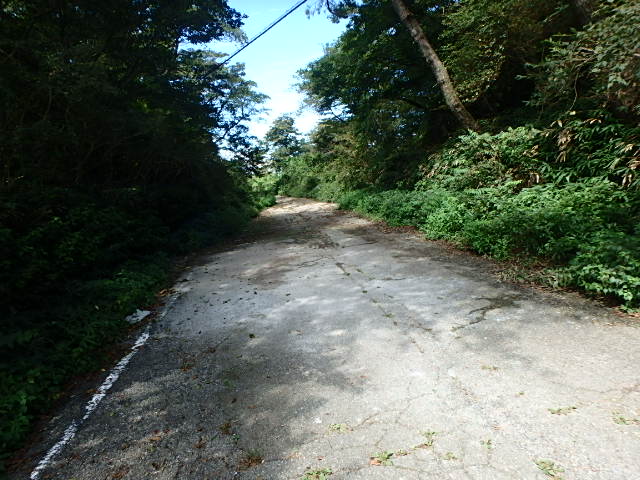 f0334143_804463.jpg