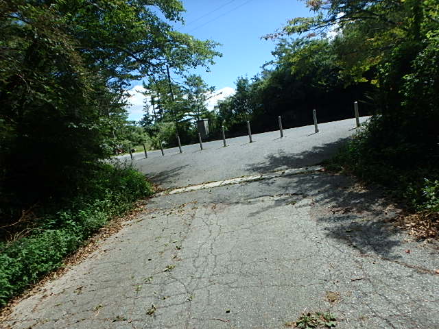 f0334143_805499.jpg