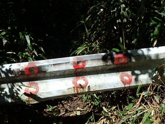 f0334143_835820.jpg