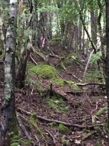 c0369344_19170824.jpeg