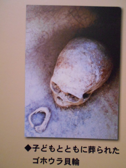 金隈弥生遺跡は 卑弥呼の時代まで六百年間継続し、136 体の人骨が出土_a0237545_23443146.jpg