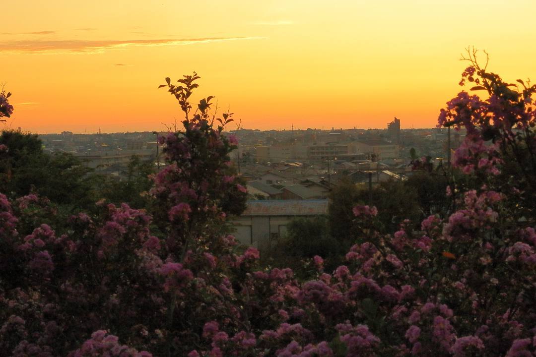 e0403850_21402369.jpg