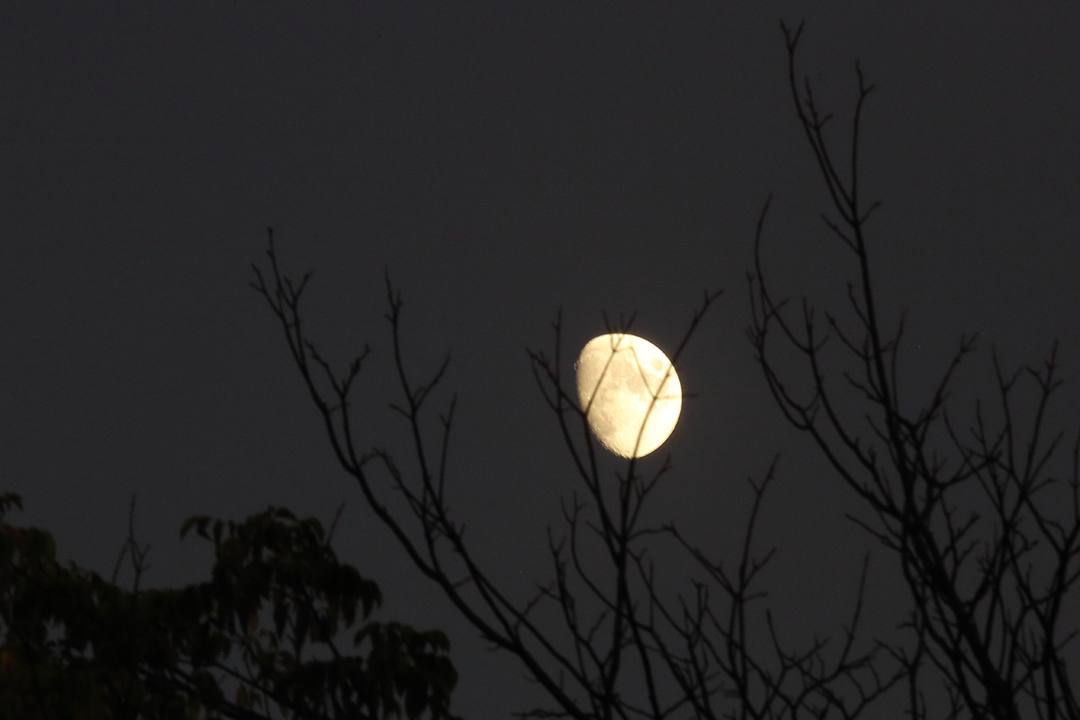 e0403850_21404649.jpg