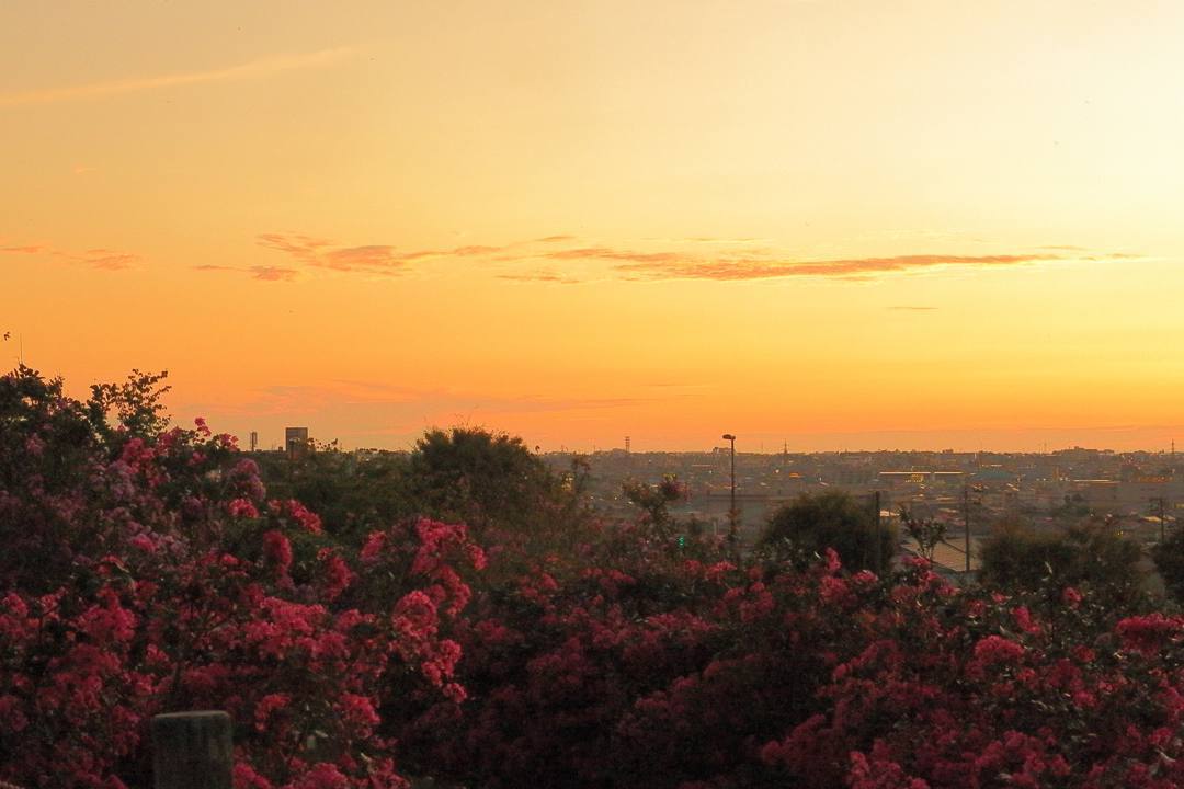 e0403850_21404657.jpg