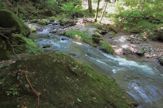 b0220251_19575203.jpg