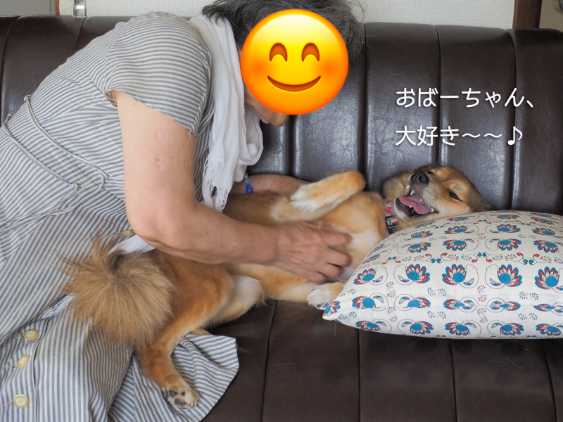 おばあちゃんと犬 さて 月でも見るか おばあちゃんと犬 さて 月でも見るか