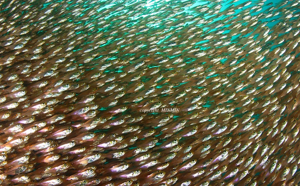 迷わずワイド_e0158261_15390848.jpeg