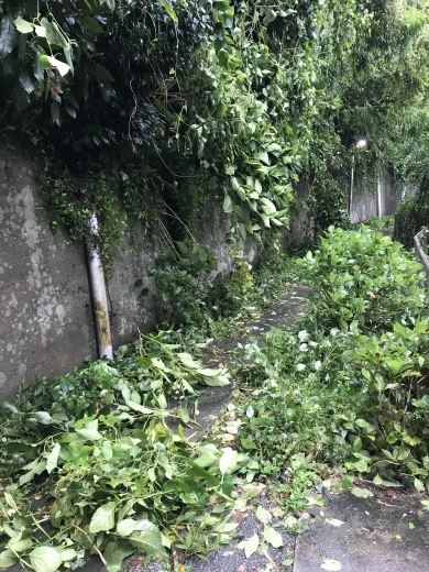 搬入_e0170562_23480542.jpeg