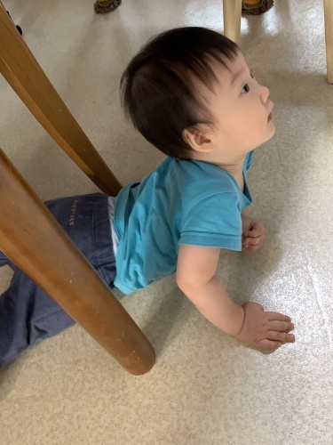 b0145863_12303906.jpeg