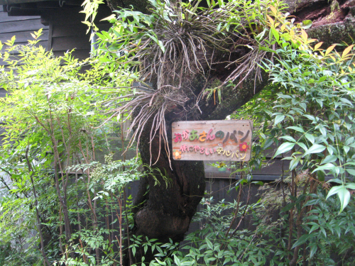 北九州の旅 小鹿田焼皿山の巻_b0153663_17432712.jpg
